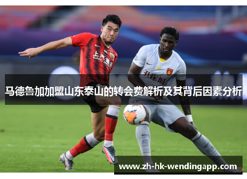 马德鲁加加盟山东泰山的转会费解析及其背后因素分析 马德鲁加加盟山东泰山的转会费解析及其背后因素分析